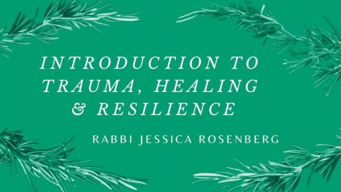 Green graphic with leaves borrowed from the cover of Trauma, Healing & Resilience for Rabbis, Jewish Educators and Organizers