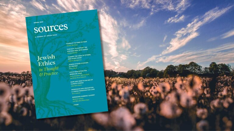 A magazine cover titled “sources” overlaid on a field of cotton with a blue sky and clouds in the background.